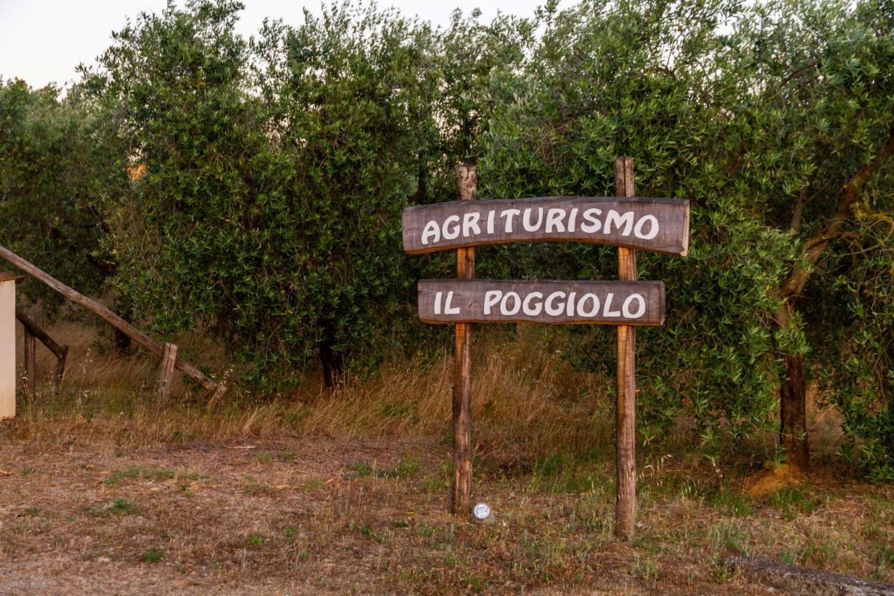 Agriturismo Il Poggiolo Villa Grosseto Dış mekan fotoğraf